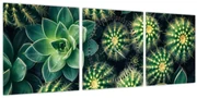 Tablou - Cactuși (cu ceas) (90x30 cm)