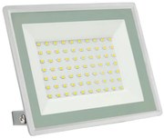 Proiector LED de exterior NOCTIS LUX 3 LED/50W/230V IP65 alb