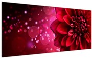 Tablou cu floare roșie (120x50 cm)