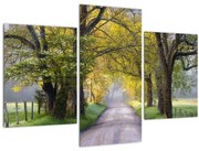 Tablou - Smoky Mountains, Gatlinburg, SUA (90x60 cm)