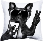 Perna moderna Cool Dog 40x40
