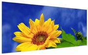 Tablou pe pânză K011109K12050 (120x50 cm), în 40 de alte dimensiuni noi