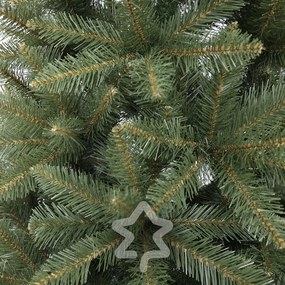 Molid Caucazian 2D 150 cm