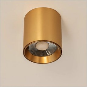 Spot aplicat auriu LED BABIL 10W CCT