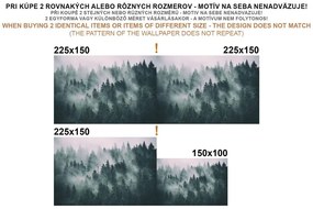 Tapet autoadeziv design modern de lemn