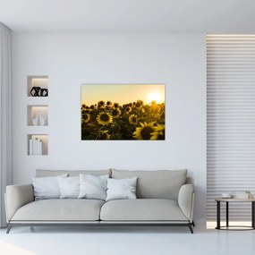 Tablou cu lan de floarea soarelui (90x60 cm)
