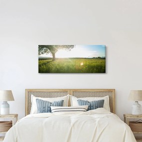 Tablou cu lunca în vară (120x50 cm)