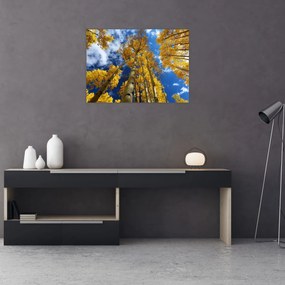 Tablou - Aspen (70x50 cm)