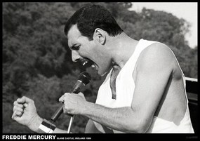 Poster Freddie Mercury - Slane castle, Ireland 1996, (84.1 x 59.4 cm)