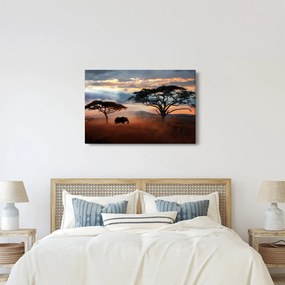 Tablou - Parcul Național Serengeti, Tanzania, Africa (90x60 cm)