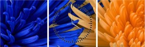 Tablou detailat cu flori (cu ceas) (90x30 cm)