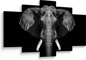 Tablou - Elefant pe fundal negru (150x105 cm)