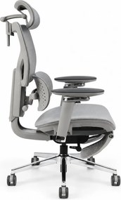 Scaun ergonomic ANEW ARYSE D6, Suport lombar dublu adaptiv 360°, Cotiere 5D, Tetieră 3D, Șezut mesh, Mecanism sensibil la greutate, Bază cromată, Suport pentru picioare, Gri