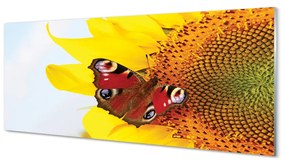 Tablouri acrilice floarea-soarelui fluture