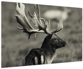 Tablou - Cerb (90x60 cm)