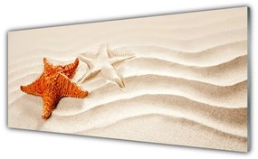 Tablouri acrilice Starfish Sand Art Orange Alb Brun