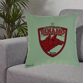 Perna Personalizata FC Dinamo Bucuresti 1948 Fotbal, 40x40 cm, Verde, Husa Detasabila, Perna Inclusa, BEKZ®
