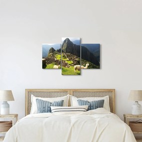 Tablou - Lame in Machu Picchu (90x60 cm)