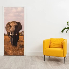 Fototapet pentru ușă - Sosirea elefantului (95x205cm)