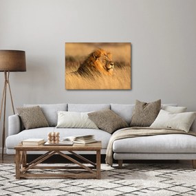 Tablou - Parcul Național Etosha (70x50 cm)