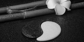 Tablou Spa natura moartă cu simbolul Yin și Yang în design alb-negru