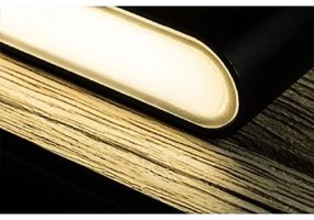 Aplică LED MOOD 2xLED/3W/230V FARO 20061