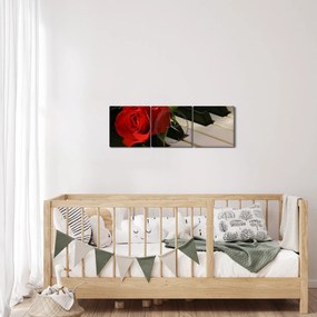 Tablou - Pian și trandafiri (cu ceas) (90x30 cm)