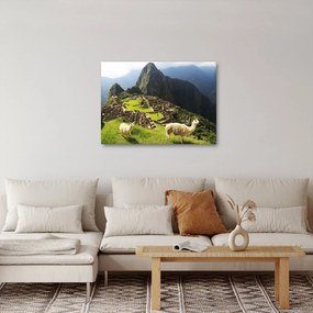 Tablou - Machu Picchu (70x50 cm)