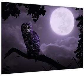 Tablou pe sticlă - Bufniță de noapte, violet (70x50 cm)