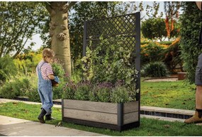 Pat ridicat de plante Deco – Keter