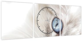 Tablou - Pisica cu ochi albaștri (cu ceas) (90x30 cm)