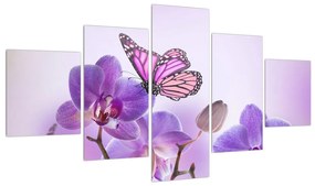 Tablou cu fluture pe floare de orhidee (125x70 cm), în 40 de alte dimensiuni noi