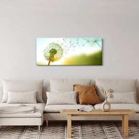 Tablou - Păpădia în vânt (120x50 cm)
