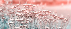 Tablou - Flori de câmp (120x50 cm)