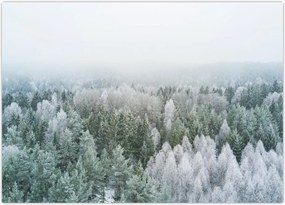 Tablou - Crestele munțillor înzăpezite (70x50 cm)