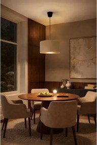 BRILAGI - Lustră suspendată VELVET pe cablu, 1xE27/60W/230V, diametru 40 cm, bej/auriu