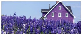 Tablou cu câmp de lavanda (120x50 cm)