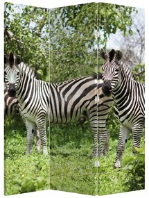 Paravan - Zebre (126x170 cm)