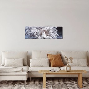 Tablou - Albă ca Zăpada Copac (cu ceas) (90x30 cm)
