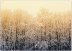 Tablou cu pădure geroasă (70x50 cm)
