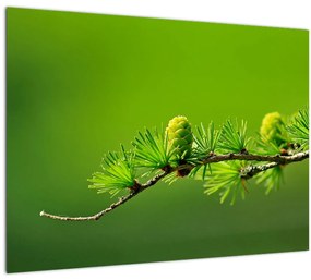 Tablou pe sticlă con verde (70x50 cm)