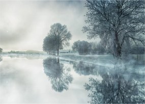 Tablou pe sticlă cu natura iarna (70x50 cm)