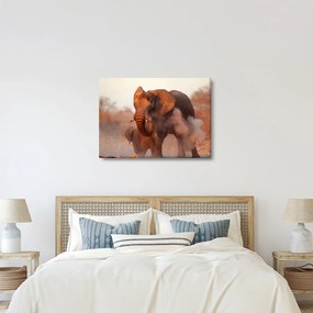 Tablou - Marele elefant african (70x50 cm)
