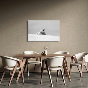 Tablou - Ursul polar (90x60 cm)