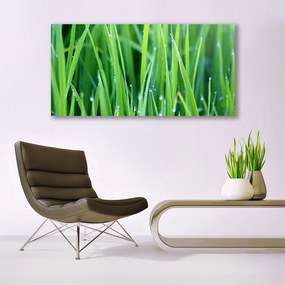 Tablou pe panza canvas Weed Natura verde