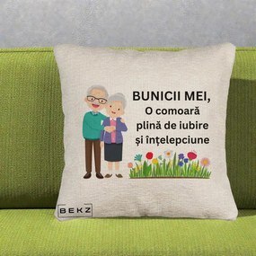 Cadou pentru Bunici - Perna Personalizata Bunicii Mei Comoara Cuplu Senior cu Flori Colorat, 40x40 cm, Bej Canapea, Husa Detasabila, Perna Inclusa, BEKZ®