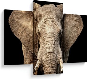 Tablou - Elefant african (90x60 cm)