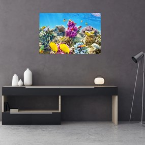 Tablou - Lumea mării (90x60 cm)