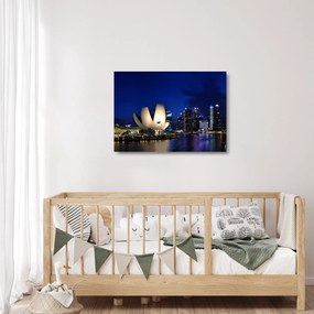 Tablou pe sticlă Singapore nocturn (70x50 cm)