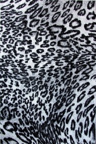 Covor Modern Kolibri Leopard 11066